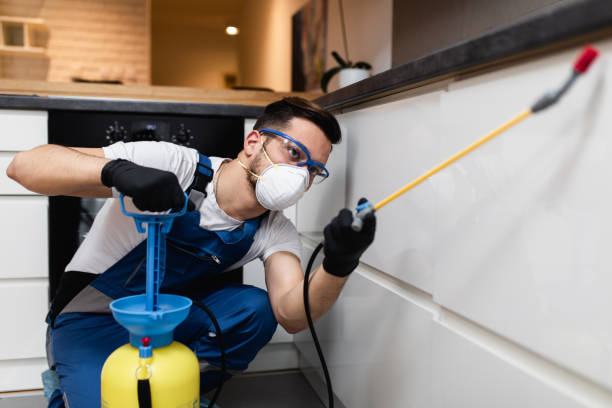 Best Pest Control Near Me  in Roman Forest, TX