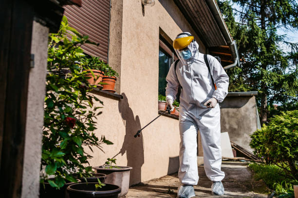Best Mosquito Control Services  in Roman Forest, TX
