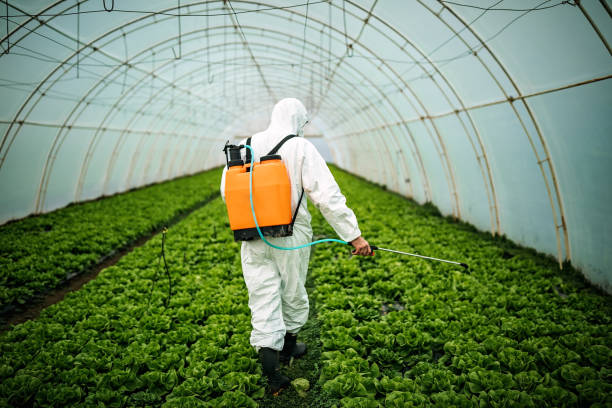 Best Pest Removal Services  in Roman Forest, TX